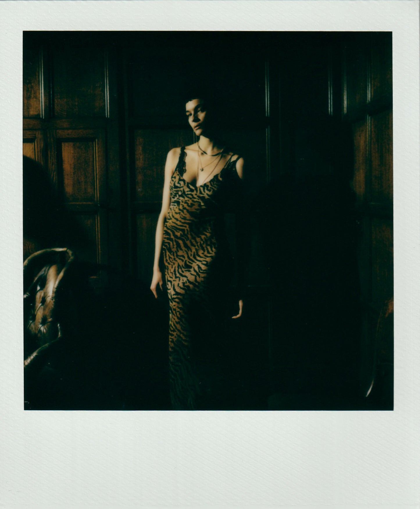 Luce - The Tiger Slip Dress