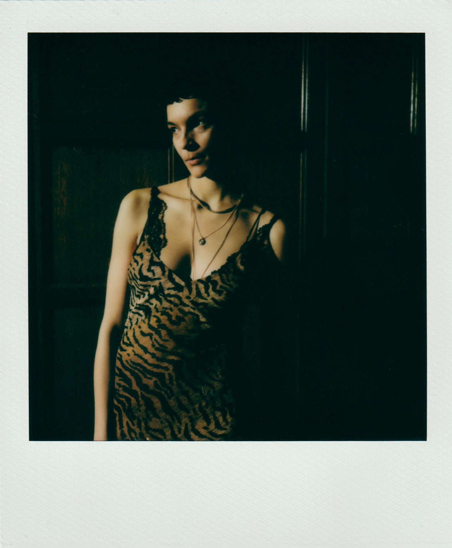 Luce - The Tiger Slip Dress