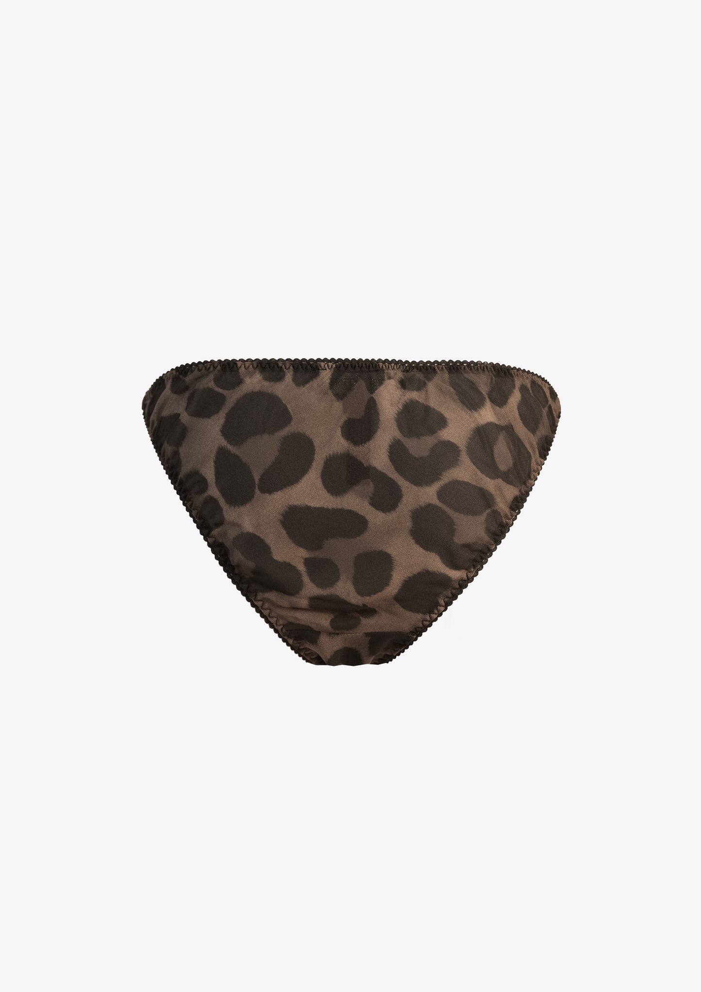 Alemoor - The Leopard Brief