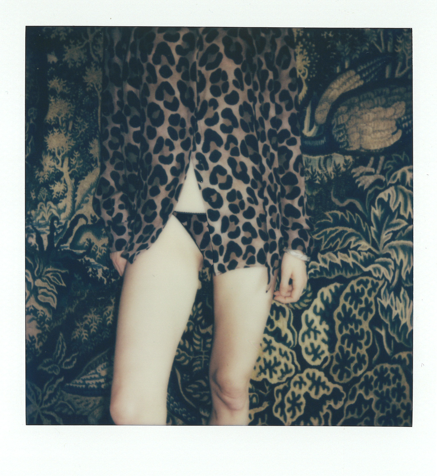Alemoor - The Leopard Brief